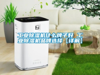 常見問題工業除濕機什么牌子好 工業除濕機品牌選擇【詳解】