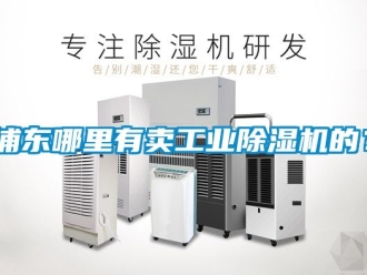 常見問題浦東哪里有賣工業(yè)除濕機(jī)的？