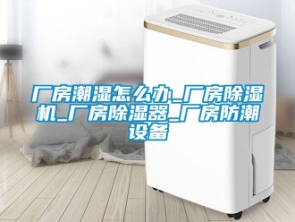 企業(yè)新聞廠房潮濕怎么辦_廠房除濕機_廠房除濕器_廠房防潮設備