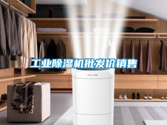 常見(jiàn)問(wèn)題工業(yè)除濕機(jī)批發(fā)價(jià)銷(xiāo)售