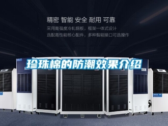 常見(jiàn)問(wèn)題珍珠棉的防潮效果介紹
