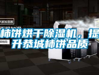 行業新聞柿餅烘干除濕機，提升恭城柿餅品質