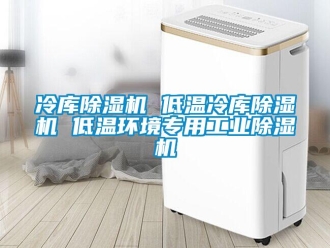 常見問題冷庫除濕機(jī) 低溫冷庫除濕機(jī) 低溫環(huán)境專用工業(yè)除濕機(jī)