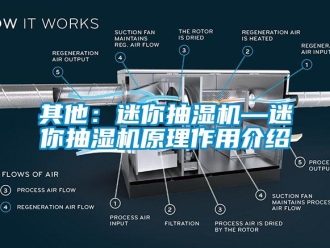 企業新聞其他：迷你抽濕機—迷你抽濕機原理作用介紹