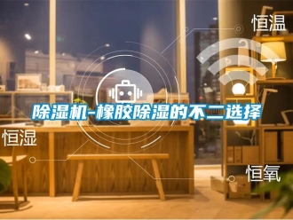 企業(yè)新聞除濕機(jī)-橡膠除濕的不二選擇