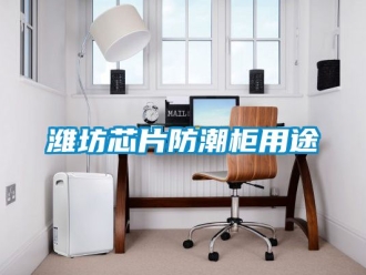 常見(jiàn)問(wèn)題濰坊芯片防潮柜用途