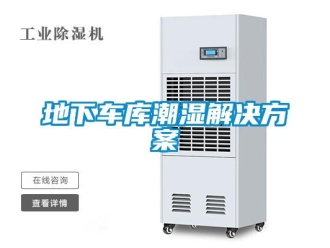 企業(yè)新聞地下車庫(kù)潮濕解決方案