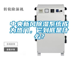 行業(yè)新聞中央新風(fēng)除濕系統(tǒng)成為熱門，它到底是什么？