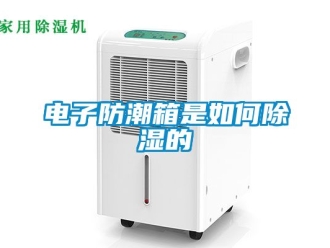 常見問題電子防潮箱是如何除濕的