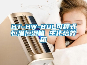 常見問題HT-HW-80L可程式恒溫恒濕箱 生化培養(yǎng)箱