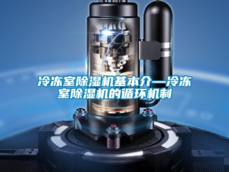 行業新聞冷凍室除濕機基本介—冷凍室除濕機的循環機制