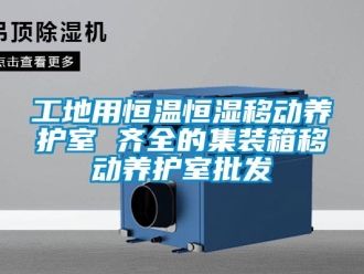 知識百科工地用恒溫恒濕移動養護室 齊全的集裝箱移動養護室批發