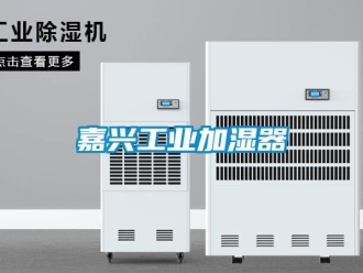 企業(yè)新聞嘉興工業(yè)加濕器