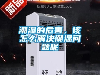 常見問題潮濕的危害，該怎么解決潮濕問題呢