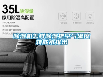 行業(yè)新聞除濕機怎樣除濕把空氣濕度轉成水排出