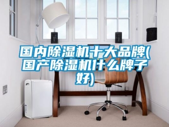 企業(yè)新聞國(guó)內(nèi)除濕機(jī)十大品牌(國(guó)產(chǎn)除濕機(jī)什么牌子好)