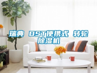 常見(jiàn)問(wèn)題瑞典 DST便攜式 轉(zhuǎn)輪除濕機(jī)