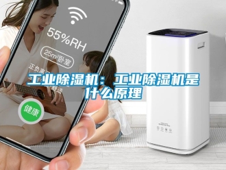 常見問題工業除濕機：工業除濕機是什么原理