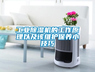 常見問題工業(yè)除濕機(jī)的工作原理以及該維護(hù)保養(yǎng)小技巧
