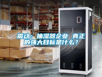 知識百科震動：抽濕器企業(yè) 真正的強(qiáng)大目標(biāo)是什么？