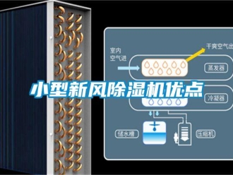 常見問題小型新風除濕機優點