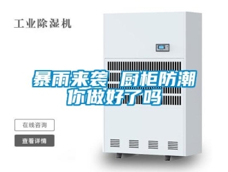 常見(jiàn)問(wèn)題暴雨來(lái)襲 廚柜防潮你做好了嗎