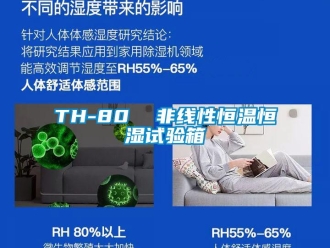 常見問題TH-80  非線性恒溫恒濕試驗箱