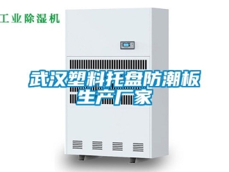 常見問題武漢塑料托盤防潮板生產廠家