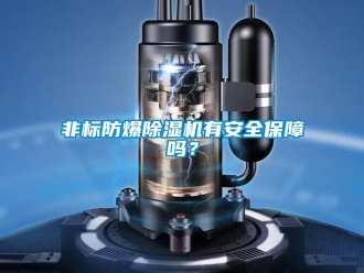 常見問題非標(biāo)防爆除濕機(jī)有安全保障嗎？