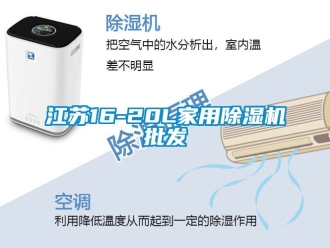 常見問題江蘇16-20L家用除濕機批發