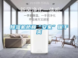 企業(yè)新聞除濕機(jī)橋巔“安家”保干爽