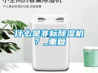 行業(yè)新聞什么是非標除濕機？_重復