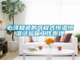 常見問題必須知道的可程式恒溫恒濕試驗(yàn)箱工作原理