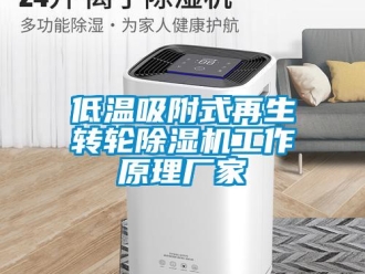 企業(yè)新聞低溫吸附式再生轉(zhuǎn)輪除濕機工作原理廠家