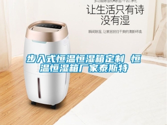 知識(shí)百科步入式恒溫恒濕箱定制 恒溫恒濕箱廠家泰斯特