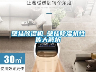 企業(yè)新聞壁掛除濕機(jī)_壁掛除濕機(jī)性能大解析
