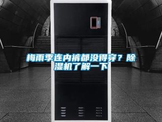 行業(yè)新聞梅雨季連內褲都沒得穿？除濕機了解一下