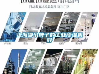 常見問題上海哪個牌子的工業除濕機好