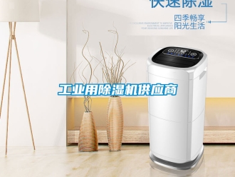 常見問題工業用除濕機供應商