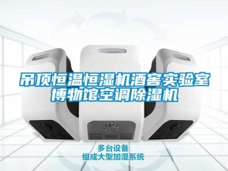 知識(shí)百科吊頂恒溫恒濕機(jī)酒窖實(shí)驗(yàn)室博物館空調(diào)除濕機(jī)