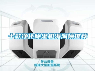 行業(yè)新聞十款凈化除濕機(jī)海淘榜推薦