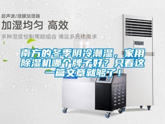 常見問題南方的冬季陰冷潮濕，家用除濕機哪個牌子好？只看這一篇文章就夠了！