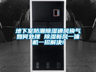 常見問題地下室防潮除濕通風換氣如何處理 除濕新風一體機一招解決!