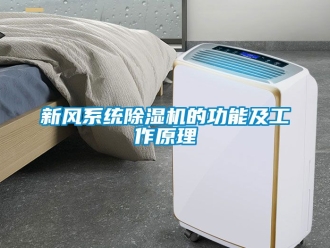 常見問題新風(fēng)系統(tǒng)除濕機的功能及工作原理
