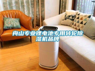 常見問題舟山專業(yè)鋰電池專用轉(zhuǎn)輪除濕機品牌