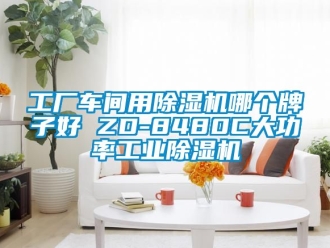 常見問題工廠車間用除濕機哪個牌子好 ZD-8480C大功率工業除濕機