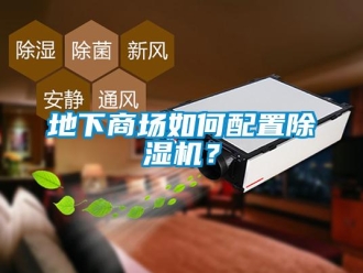 常見問題地下商場如何配置除濕機？