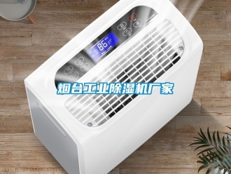 企業新聞煙臺工業除濕機廠家