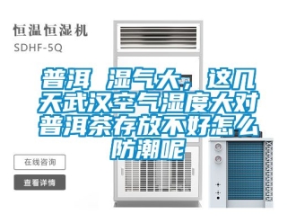 常見問題普洱 濕氣大，這幾天武漢空氣濕度大對普洱茶存放不好怎么防潮呢