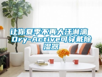 行業新聞讓你夏季不再大汗淋漓 Dry-Active可穿戴除濕器